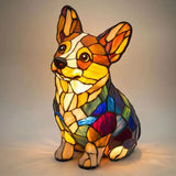 Rocky – Lumière Promienne Corgi