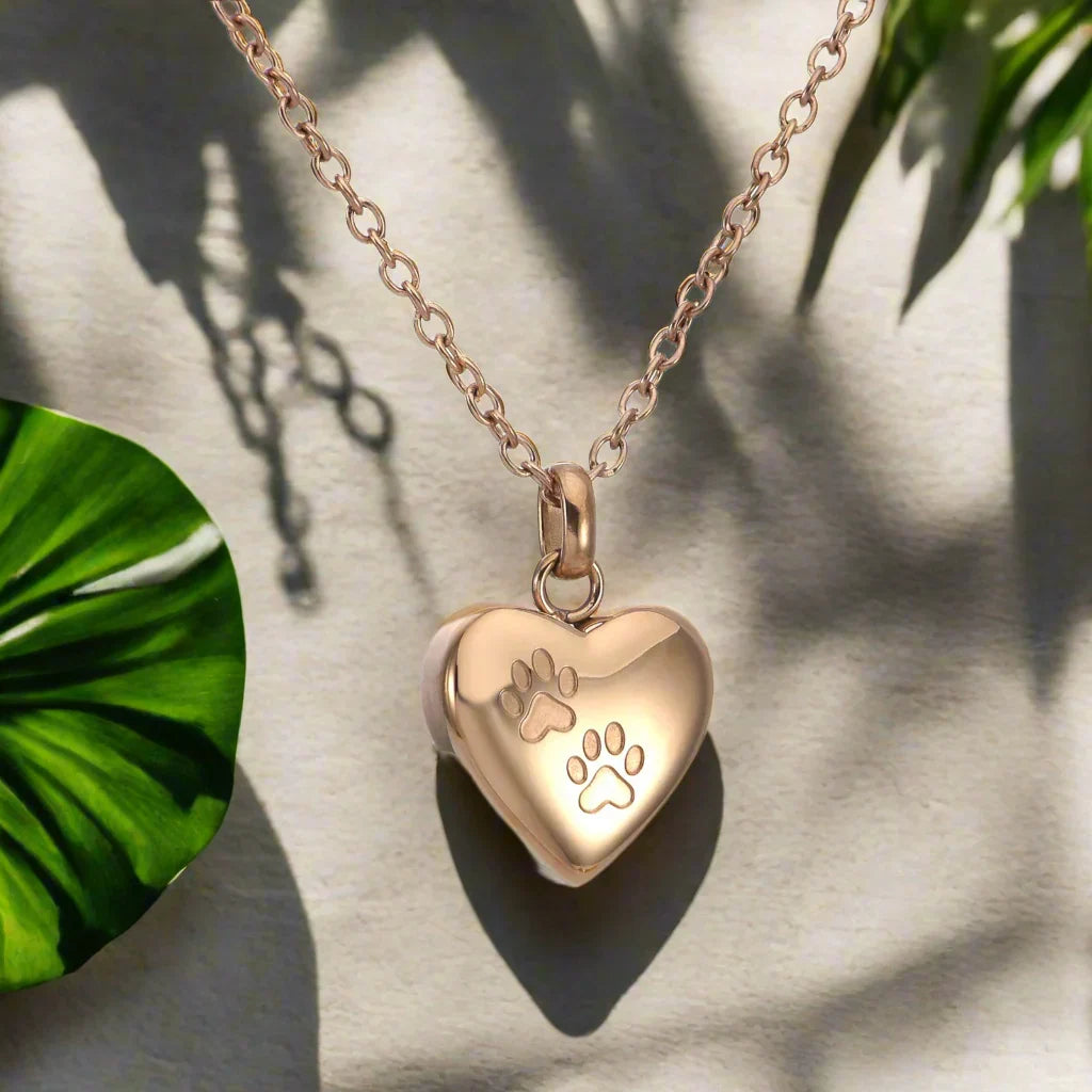 Collier Urne en Mémoire d'Animal – Pendentif en Forme de Cœur avec Gravure de Patte